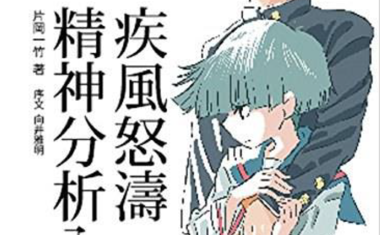 疾风怒涛精神分析入门